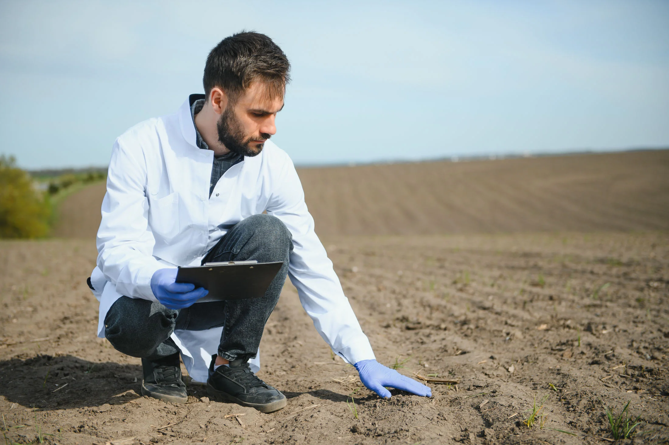 agronomist-studying-samples-soil-field